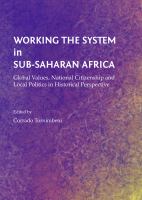 Working the System in Sub-Saharan Africa : Global Values, National Citizenship and Local Politics in Historical Perspective.