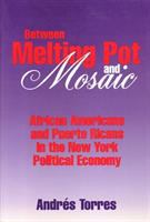 Between melting pot and mosaic : African Americans and Puerto Ricans in the New York political economy /