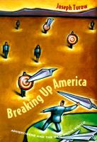 Breaking up America : Advertisers and the New Media World.