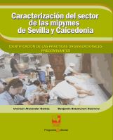 Caracterizacion del sector de las mipymes de Sevilla y Caicedonia identificacion de las practicas organizacionales predominantes.