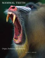 Mammal teeth : origin, evolution, and diversity /