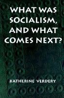 What was socialism, and what comes next? /