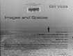 Bill Viola, images and spaces : Madison Art Center, December 11, 1994 through February 12, 1995 /