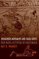 Indigenous movements and their critics : Pan-Maya activism in Guatemala /