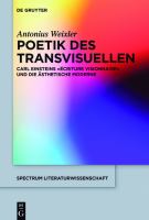 Poetik des Transvisuellen Carl Einsteins "écriture visionnaire" und die ästhetische Moderne /