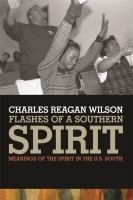 Flashes of a Southern Spirit : Meanings of the Spirit in the U.S. South.