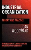 Industrial organization : theory and practice /