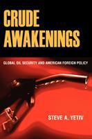 Crude awakenings global oil security and American foreign policy /