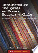 Intelectuales indígenas en Ecuador, Bolivia y Chile : diferencia, colonialismo y anticolonialismo /